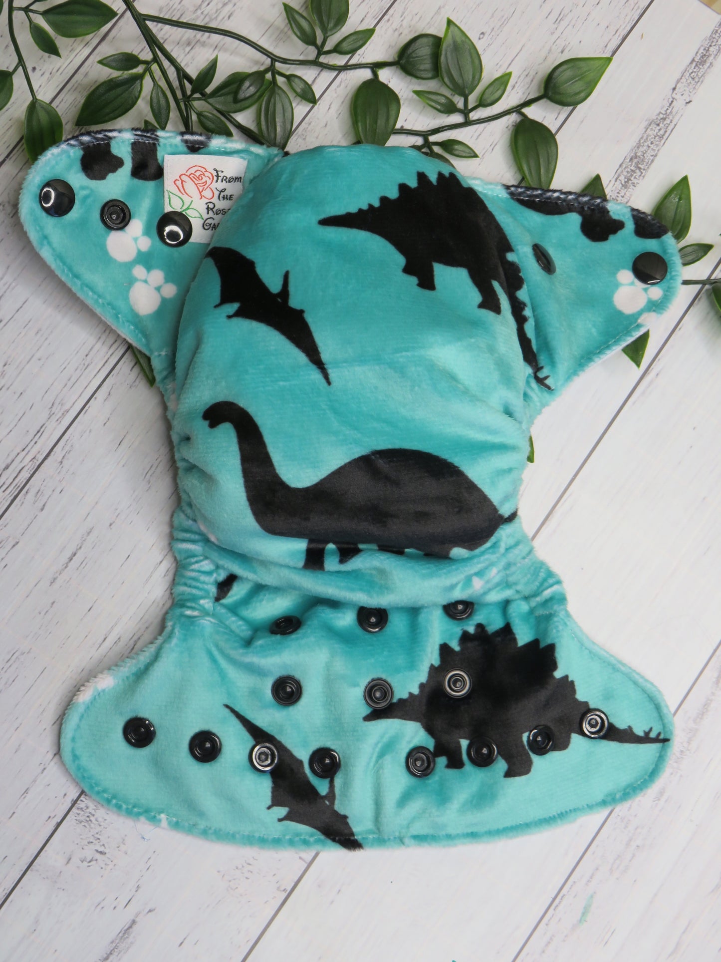 Dinosaurs - Minky - Newborn